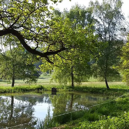 Pensjonat Zur Dorfschaenke Hausen (Birkenfeld)