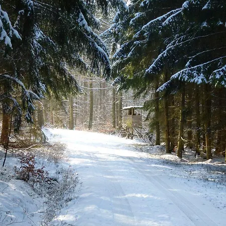 بيت ضيافة Zur Dorfschaenke