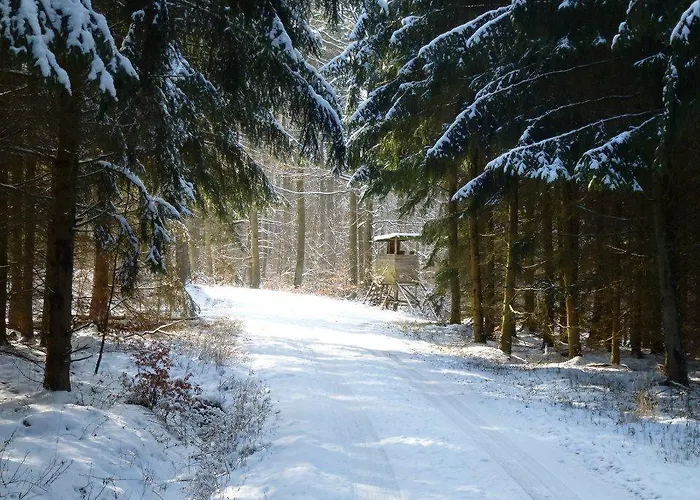 Casa de hóspedes Zur Dorfschaenke