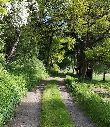 Casa de hóspedes Zur Dorfschaenke *