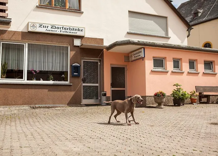 Casa de hóspedes Zur Dorfschaenke