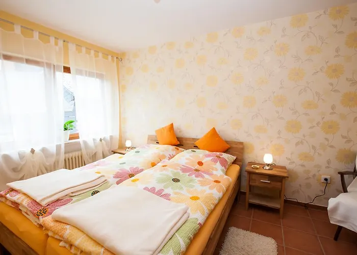 Casa de hóspedes Zur Dorfschaenke